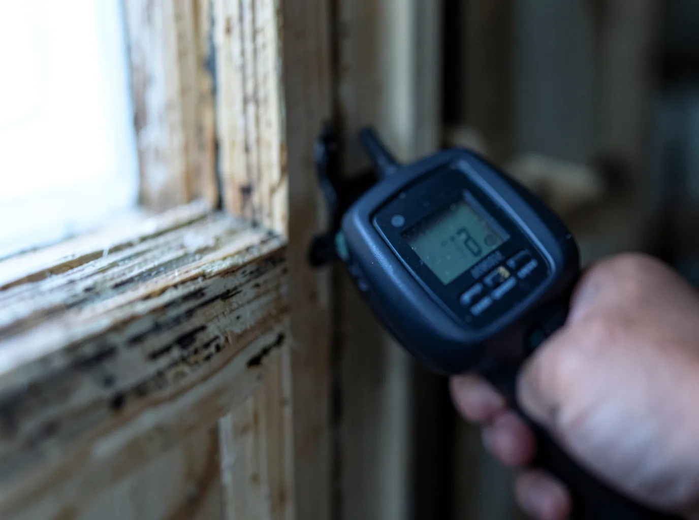 Moisture Inspection And Documentation in Maspeth, NY